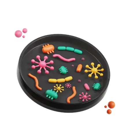 petri dish