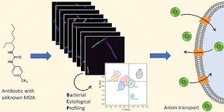 fluorescence microscopy,fluorescence microscopy,high-throughput method,