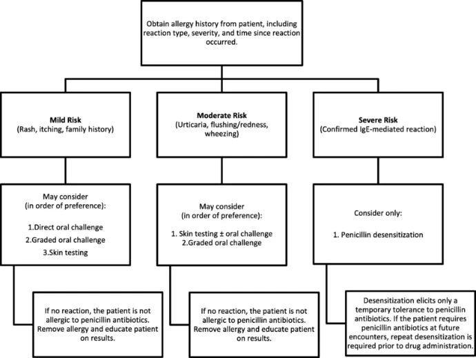 Infectious Diseases,Penicillin allergy assessment algorithm